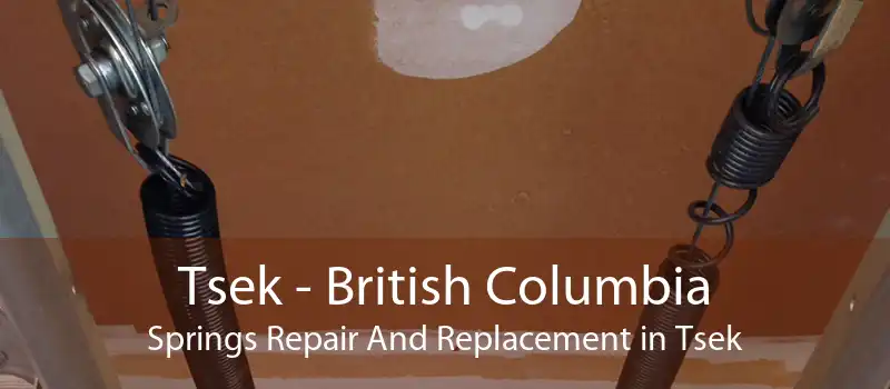 Tsek - British Columbia Springs Repair And Replacement in Tsek