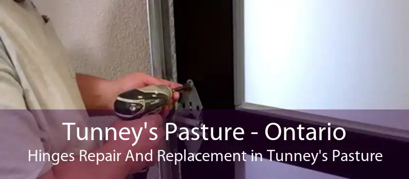 Tunney's Pasture - Ontario Hinges Repair And Replacement in Tunney's Pasture