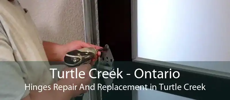 Turtle Creek - Ontario Hinges Repair And Replacement in Turtle Creek