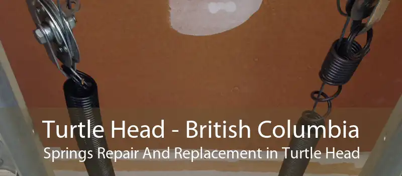 Turtle Head - British Columbia Springs Repair And Replacement in Turtle Head