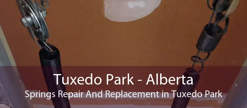 Tuxedo Park - Alberta Springs Repair And Replacement in Tuxedo Park