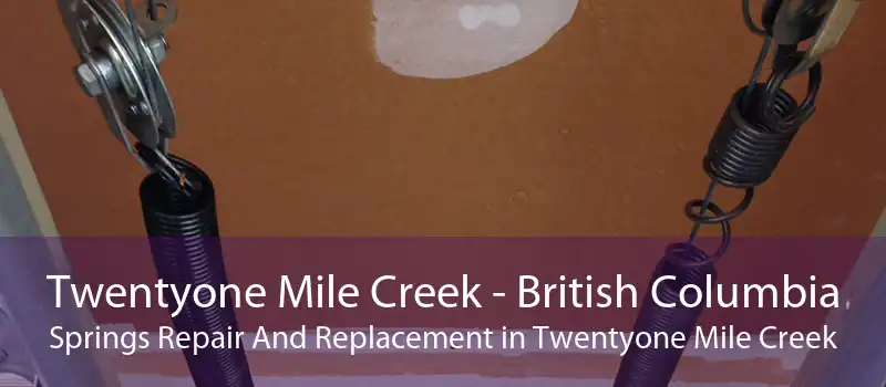 Twentyone Mile Creek - British Columbia Springs Repair And Replacement in Twentyone Mile Creek
