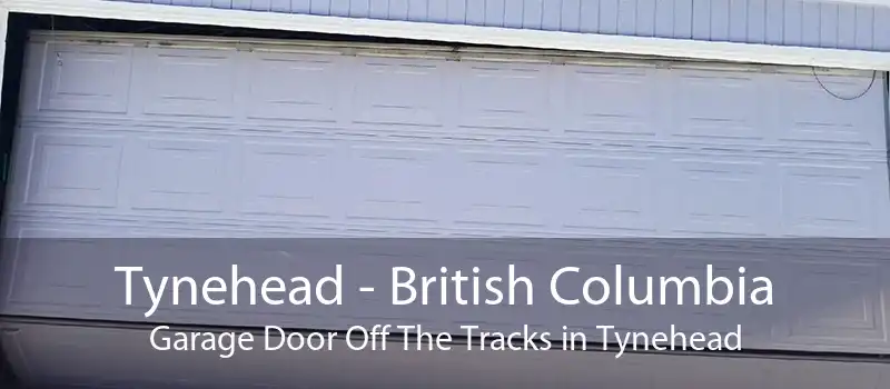 Tynehead - British Columbia Garage Door Off The Tracks in Tynehead