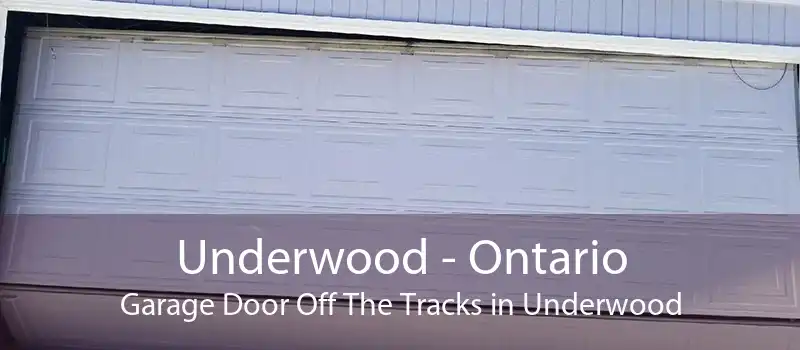 Underwood - Ontario Garage Door Off The Tracks in Underwood