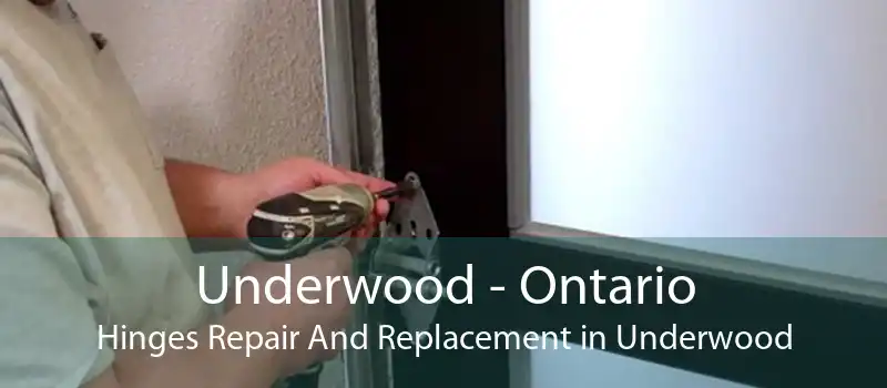 Underwood - Ontario Hinges Repair And Replacement in Underwood
