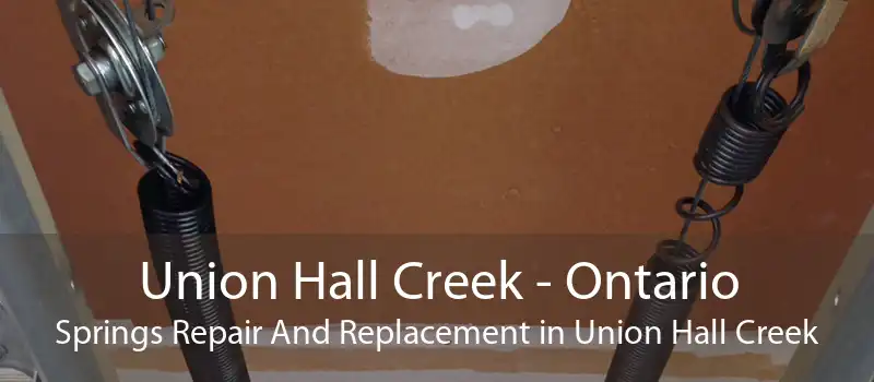 Union Hall Creek - Ontario Springs Repair And Replacement in Union Hall Creek