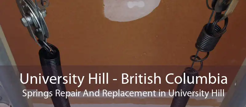 University Hill - British Columbia Springs Repair And Replacement in University Hill
