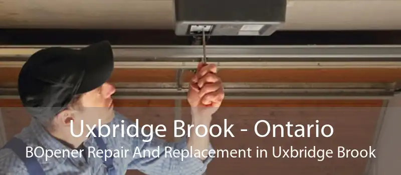 Uxbridge Brook - Ontario BOpener Repair And Replacement in Uxbridge Brook