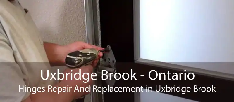 Uxbridge Brook - Ontario Hinges Repair And Replacement in Uxbridge Brook