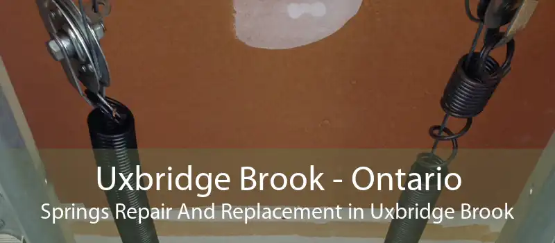 Uxbridge Brook - Ontario Springs Repair And Replacement in Uxbridge Brook