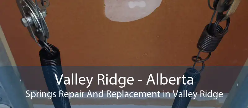 Valley Ridge - Alberta Springs Repair And Replacement in Valley Ridge
