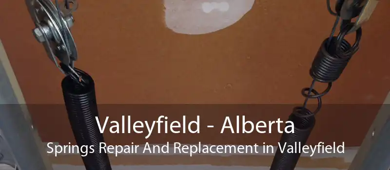 Valleyfield - Alberta Springs Repair And Replacement in Valleyfield