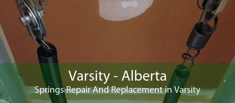 Varsity - Alberta Springs Repair And Replacement in Varsity