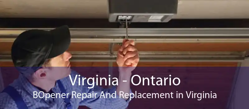 Virginia - Ontario BOpener Repair And Replacement in Virginia