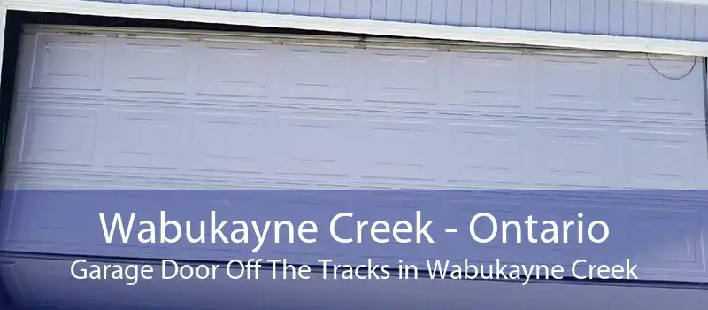 Wabukayne Creek - Ontario Garage Door Off The Tracks in Wabukayne Creek