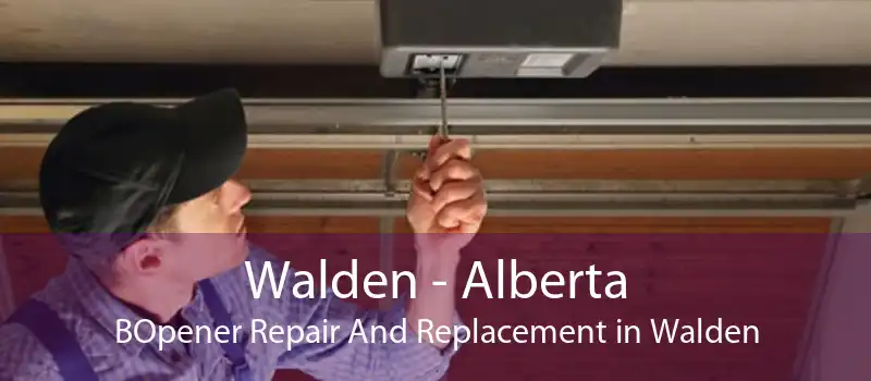 Walden - Alberta BOpener Repair And Replacement in Walden