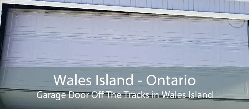 Wales Island - Ontario Garage Door Off The Tracks in Wales Island