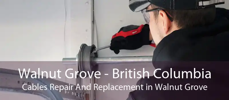 Walnut Grove - British Columbia Cables Repair And Replacement in Walnut Grove