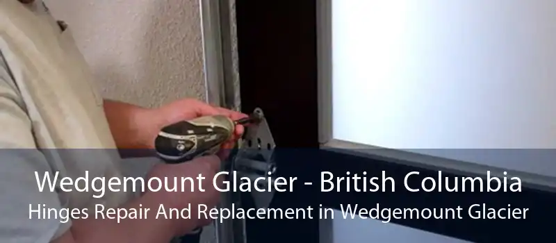 Wedgemount Glacier - British Columbia Hinges Repair And Replacement in Wedgemount Glacier