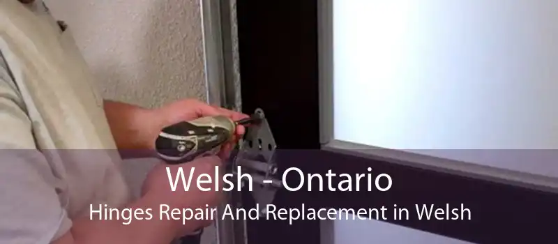 Welsh - Ontario Hinges Repair And Replacement in Welsh