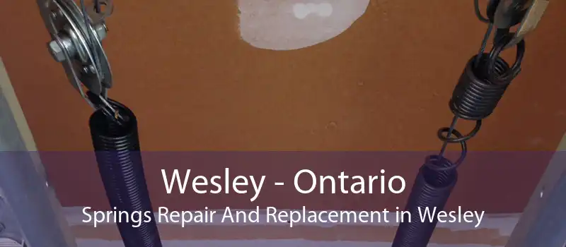 Wesley - Ontario Springs Repair And Replacement in Wesley