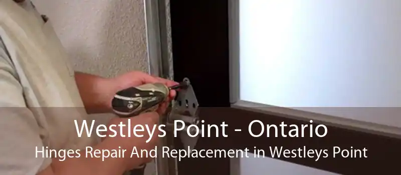 Westleys Point - Ontario Hinges Repair And Replacement in Westleys Point