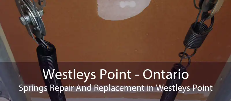 Westleys Point - Ontario Springs Repair And Replacement in Westleys Point