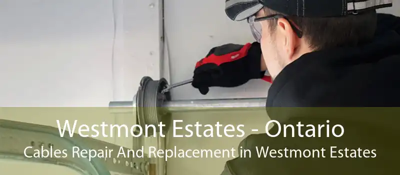 Westmont Estates - Ontario Cables Repair And Replacement in Westmont Estates