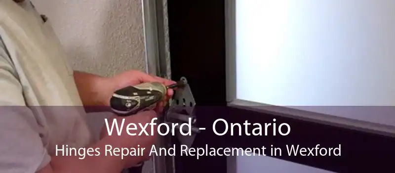 Wexford - Ontario Hinges Repair And Replacement in Wexford