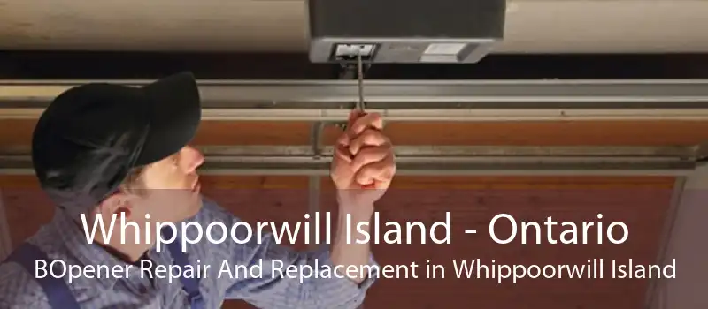 Whippoorwill Island - Ontario BOpener Repair And Replacement in Whippoorwill Island
