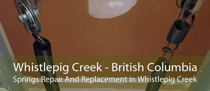 Whistlepig Creek - British Columbia Springs Repair And Replacement in Whistlepig Creek
