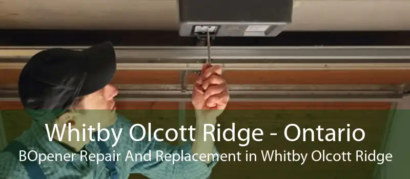 Whitby Olcott Ridge - Ontario BOpener Repair And Replacement in Whitby Olcott Ridge