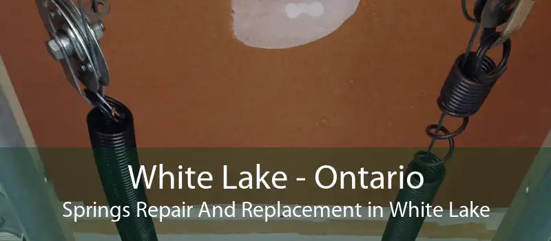 White Lake - Ontario Springs Repair And Replacement in White Lake