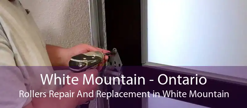 White Mountain - Ontario Rollers Repair And Replacement in White Mountain