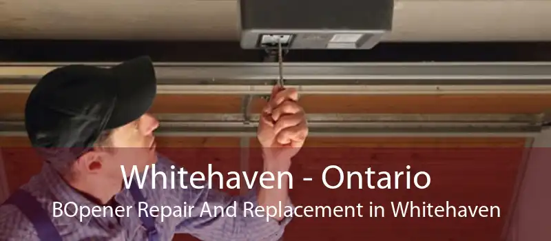 Whitehaven - Ontario BOpener Repair And Replacement in Whitehaven