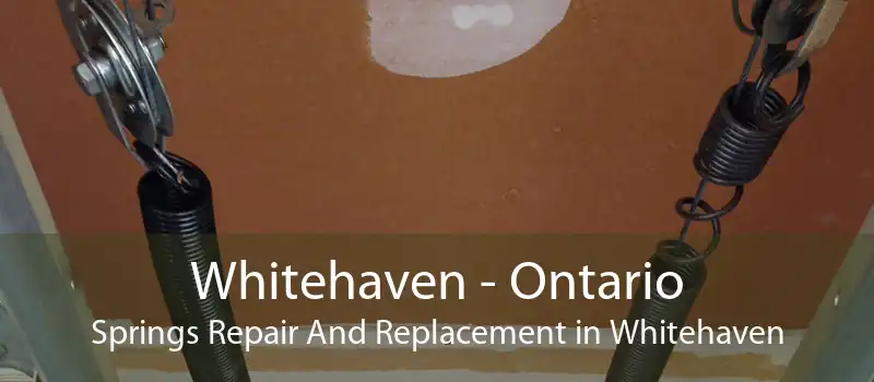 Whitehaven - Ontario Springs Repair And Replacement in Whitehaven