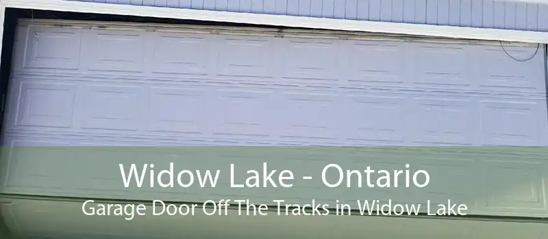 Widow Lake - Ontario Garage Door Off The Tracks in Widow Lake
