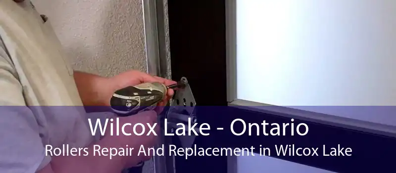 Wilcox Lake - Ontario Rollers Repair And Replacement in Wilcox Lake