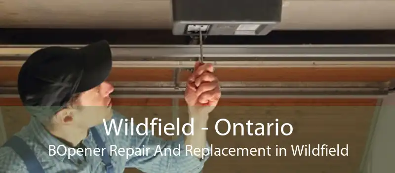 Wildfield - Ontario BOpener Repair And Replacement in Wildfield