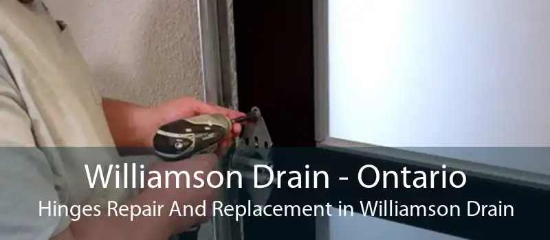 Williamson Drain - Ontario Hinges Repair And Replacement in Williamson Drain