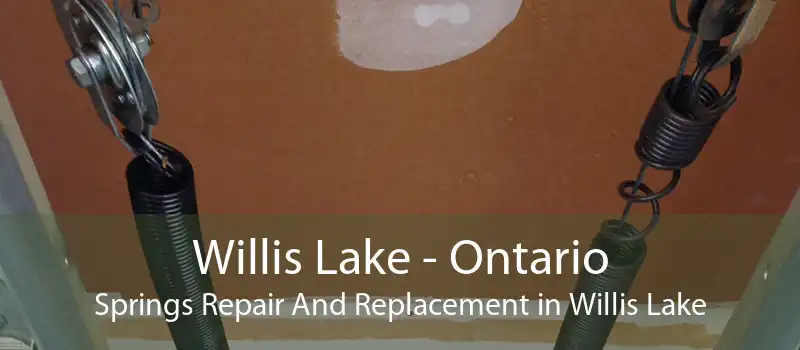 Willis Lake - Ontario Springs Repair And Replacement in Willis Lake