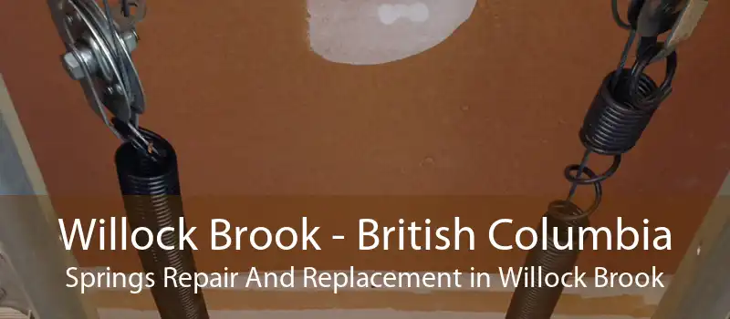 Willock Brook - British Columbia Springs Repair And Replacement in Willock Brook