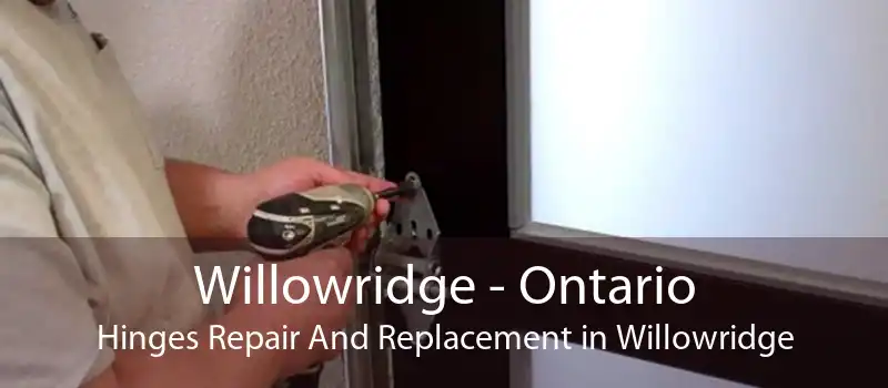 Willowridge - Ontario Hinges Repair And Replacement in Willowridge