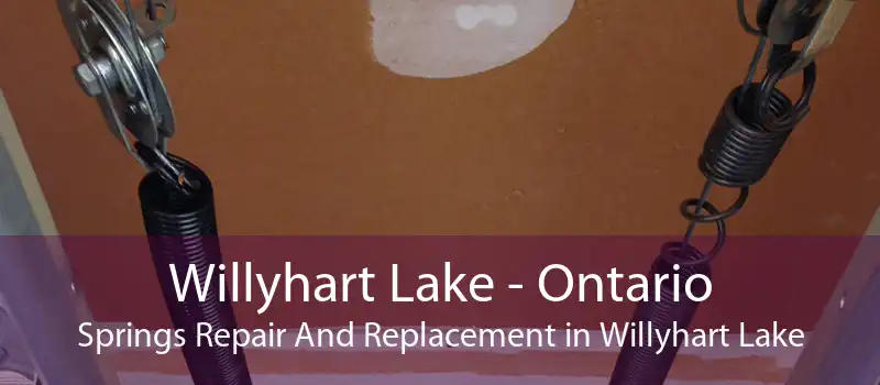 Willyhart Lake - Ontario Springs Repair And Replacement in Willyhart Lake
