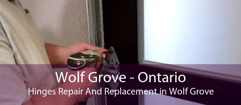 Wolf Grove - Ontario Hinges Repair And Replacement in Wolf Grove