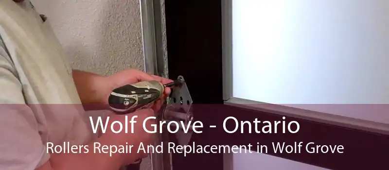 Wolf Grove - Ontario Rollers Repair And Replacement in Wolf Grove