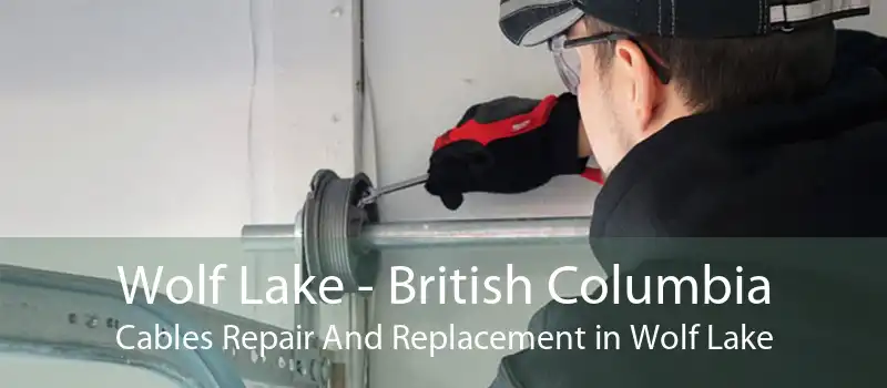 Wolf Lake - British Columbia Cables Repair And Replacement in Wolf Lake