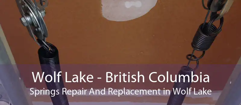 Wolf Lake - British Columbia Springs Repair And Replacement in Wolf Lake