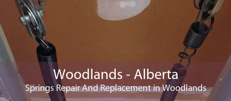 Woodlands - Alberta Springs Repair And Replacement in Woodlands