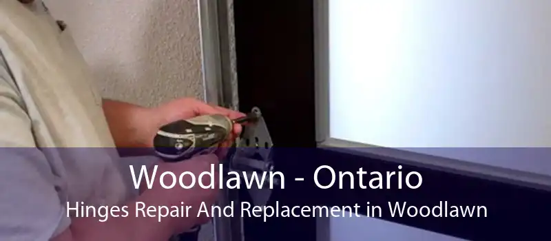 Woodlawn - Ontario Hinges Repair And Replacement in Woodlawn